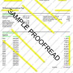 Green Dot Bank Statement