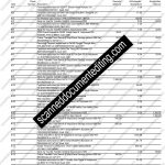 Scotia Bank Statement