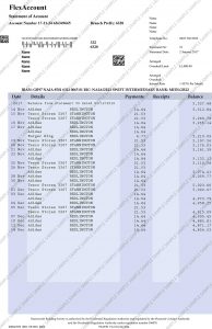 Scanned Nationwide- Bank Statement Editing