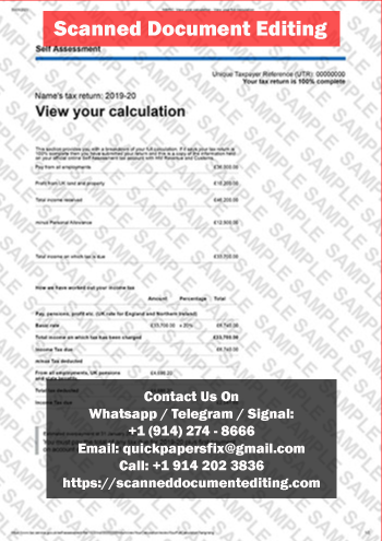 Scanned Blue_Payslip Document Editing